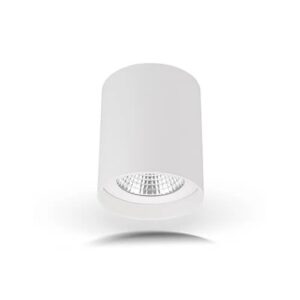 C6025