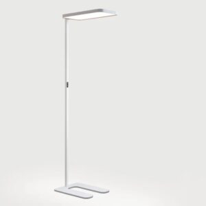 Caleo-W1
