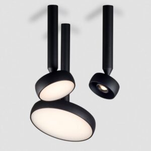 myco-ceiling-F-2