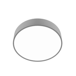 Lona-300-silver
