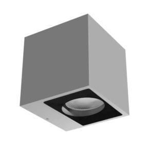 Cubit-31