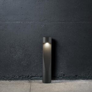 Ianus-1-600-ex