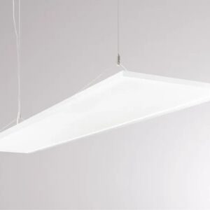 Moltoluce-Rube-PDI-white