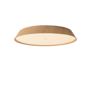 ACB-Lighting-Cora-D610-laevalgusti